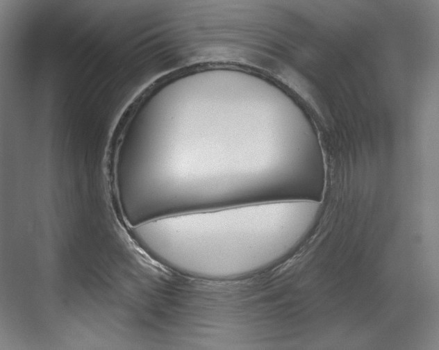 X0000071801068200606301004