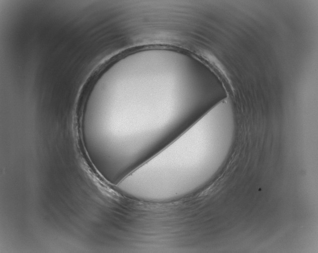 X0000071801072200606301004