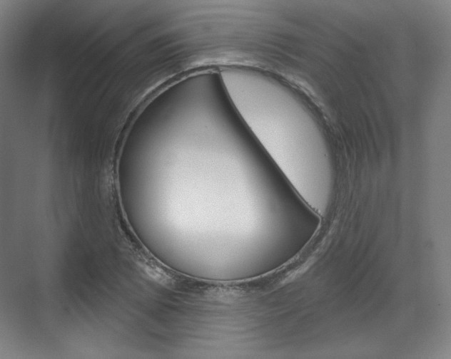 X0000071801073200606301004