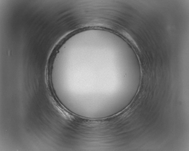 X0000071801076200606301004