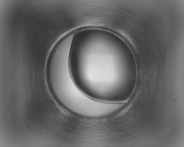 X0000071801077200606301004