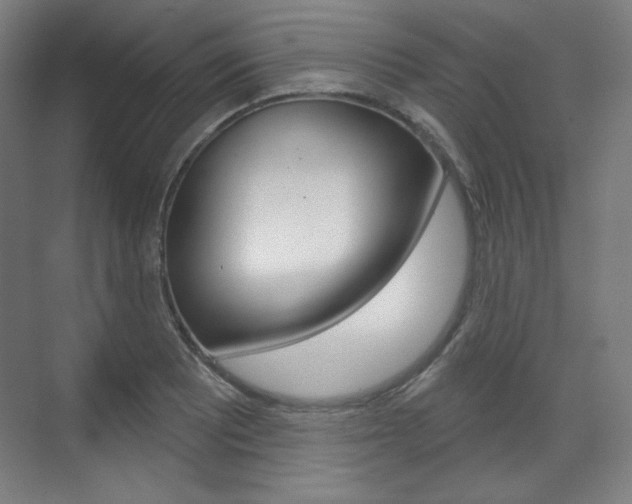 X0000071801081200606301003