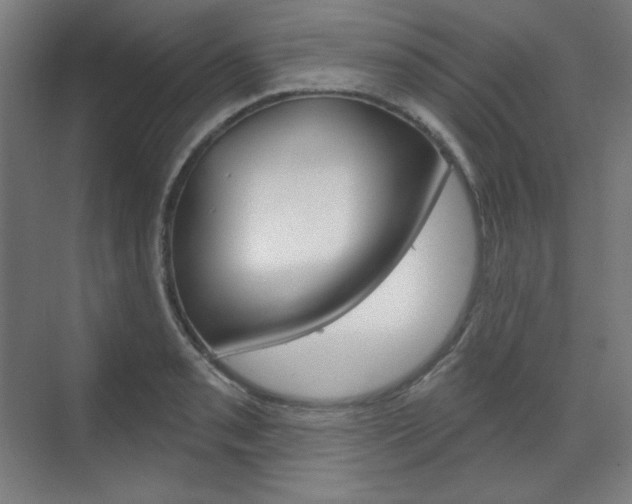 X0000071801085200606301003