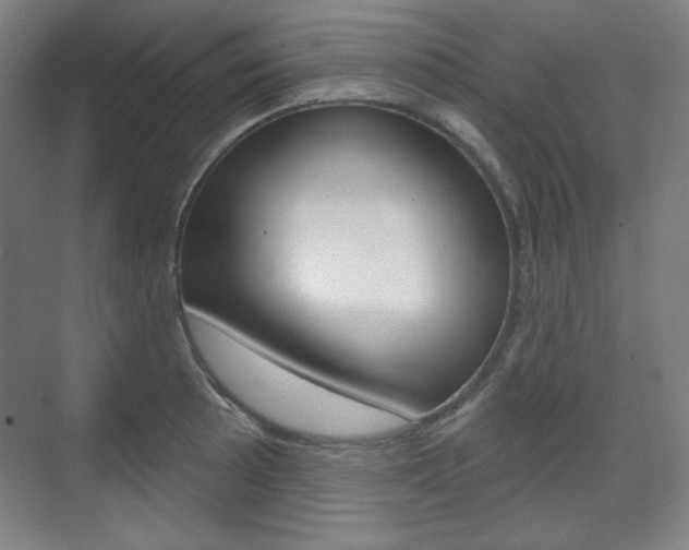 X0000071801089200606301003