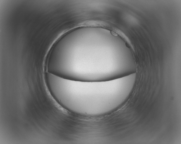 X0000071801091200606301003