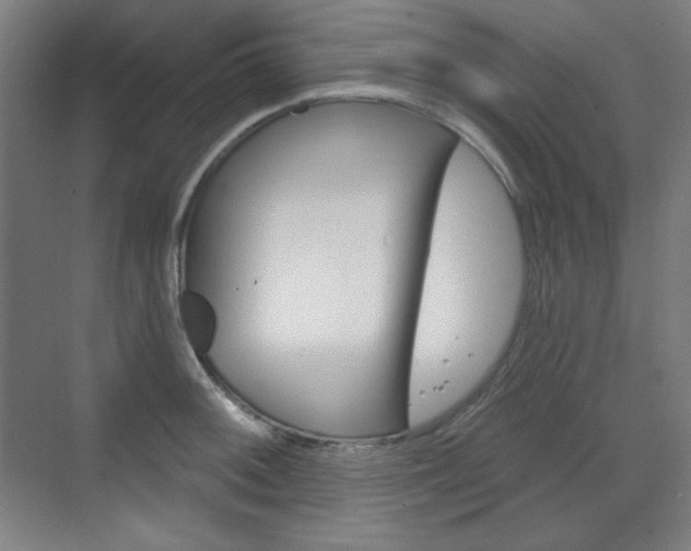 X0000071801092200606301003