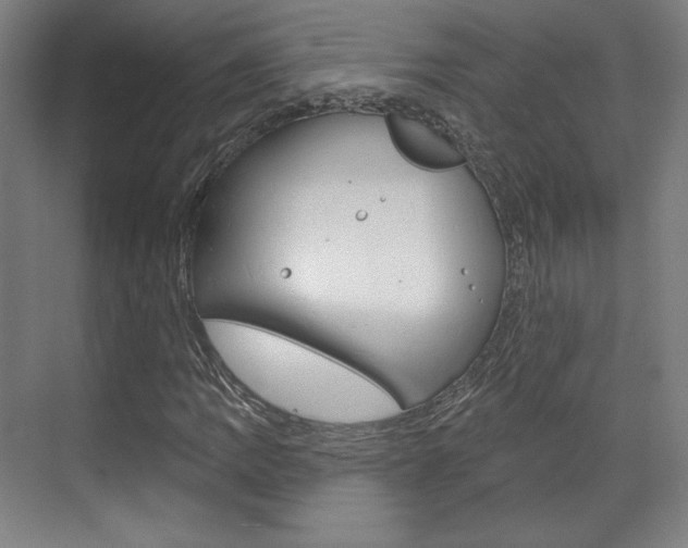 X0000071801109200606301002