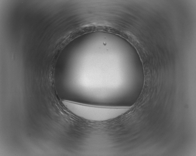 X0000071801110200606301002
