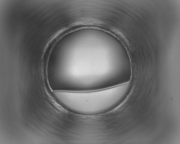 X0000071801114200606301002