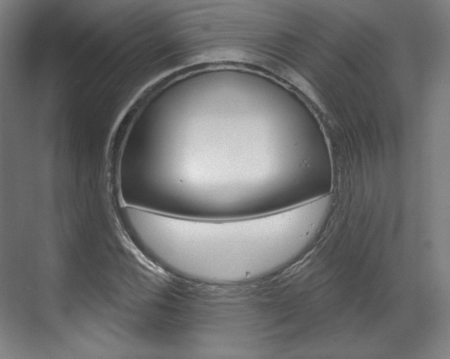 X0000071801116200606301002