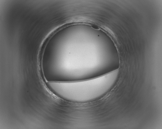 X0000071801120200606301003