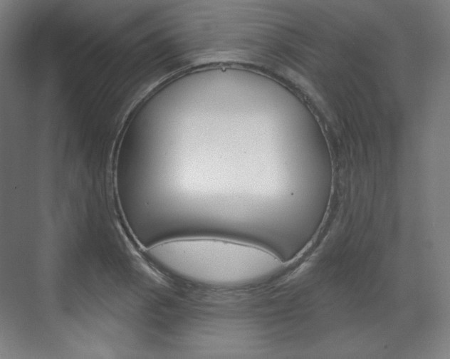 X0000071801129200606301003