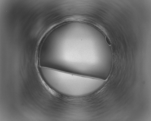 X0000071801131200606301003