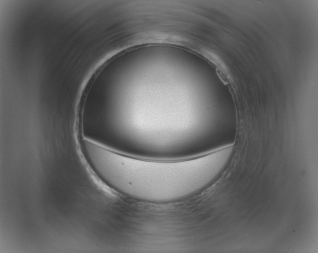 X0000071801136200606301003