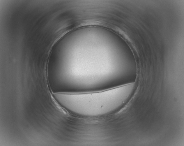X0000071801137200606301003