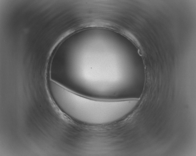 X0000071801138200606301003