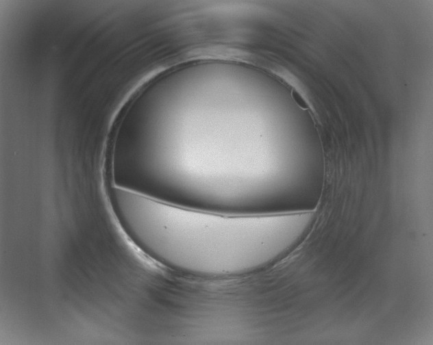 X0000071801139200606301003