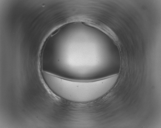 X0000071801144200606301003
