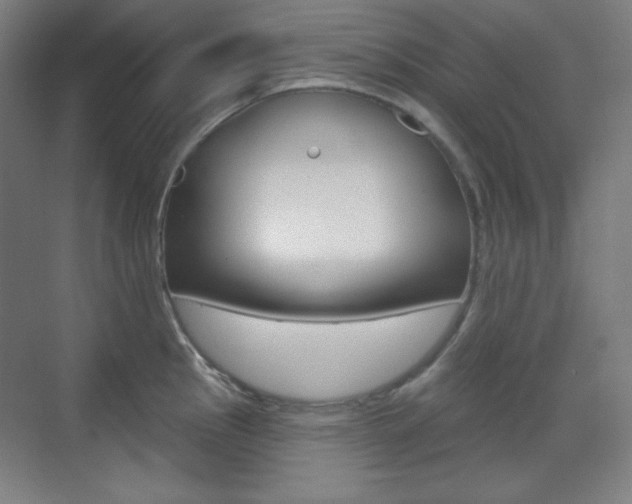 X0000071801145200606301003