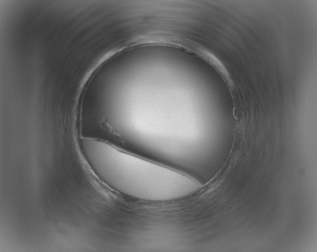 X0000071801146200606301003