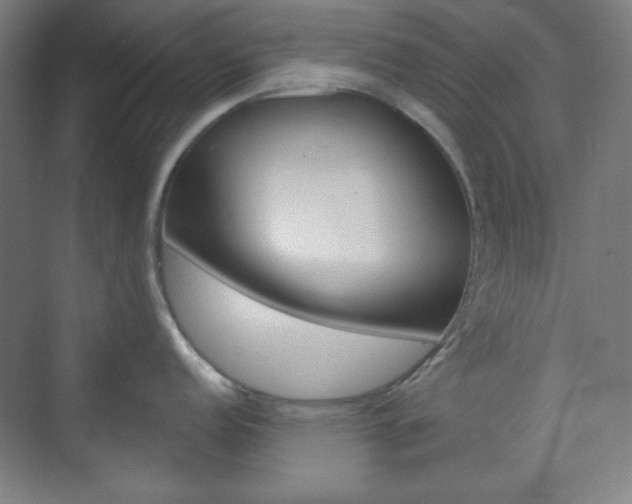 X0000071801152200606301003