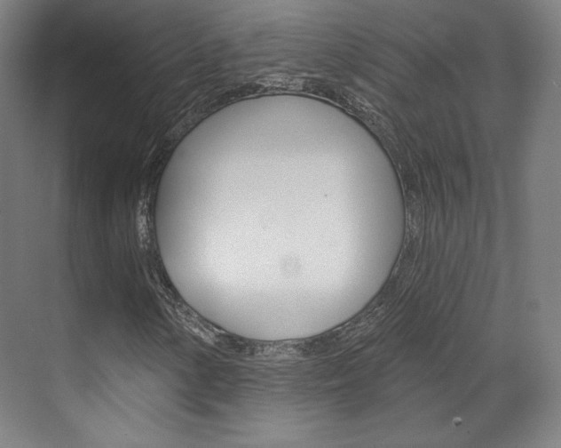 X0000071801154200606301002