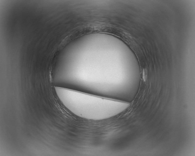 X0000071801155200606301002