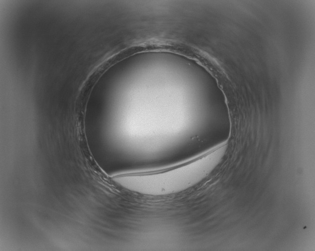 X0000071801160200606301002