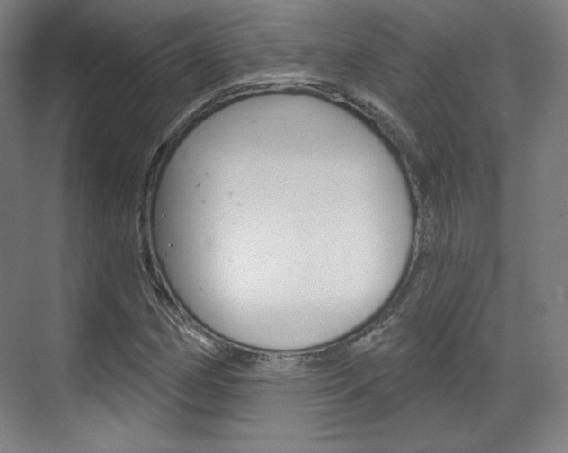 X0000071801162200606301002