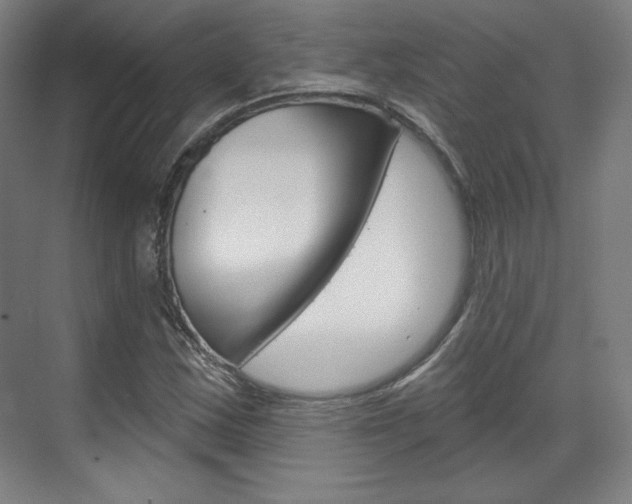 X0000071801163200606301002