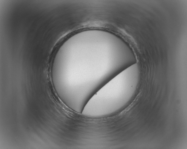 X0000071801166200606301002