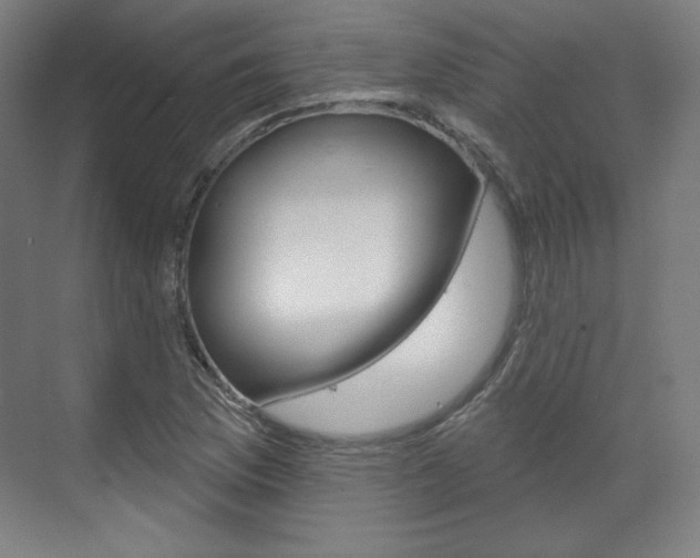 X0000071801169200606301002