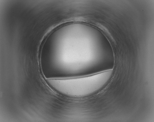 X0000071801176200606301002