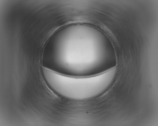 X0000071801177200606301002