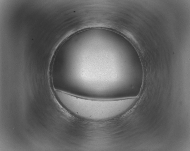 X0000071801181200606301002