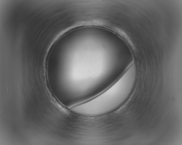 X0000071801184200606301002