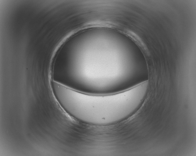 X0000071801188200606301002