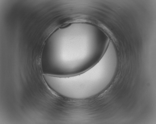 X0000071801193200606301002