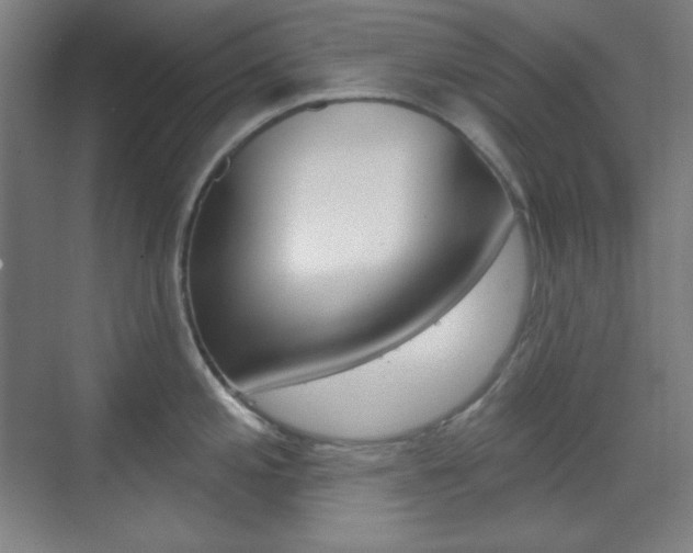 X0000071801197200606301002