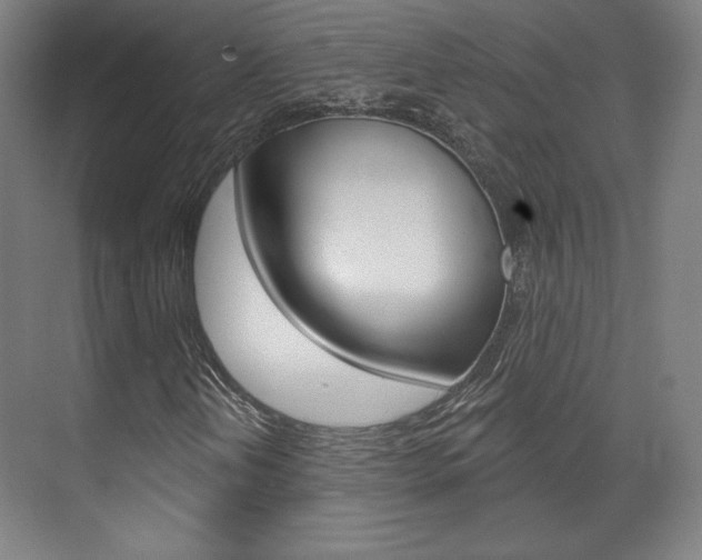 X0000071801202200606301001