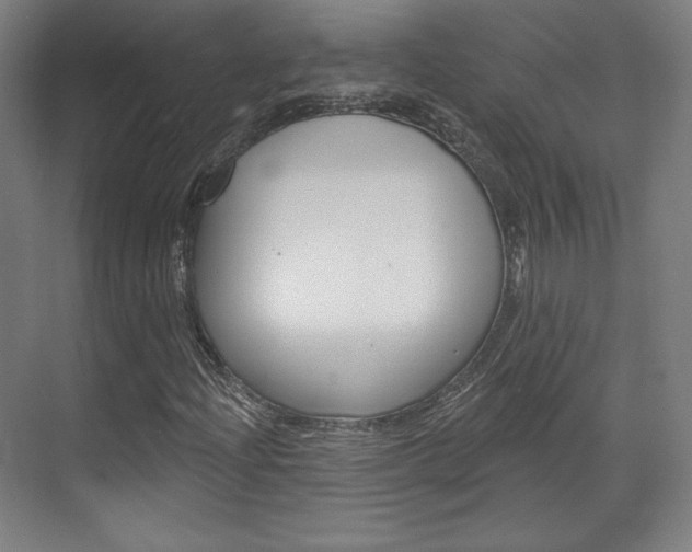 X0000071801204200606301001
