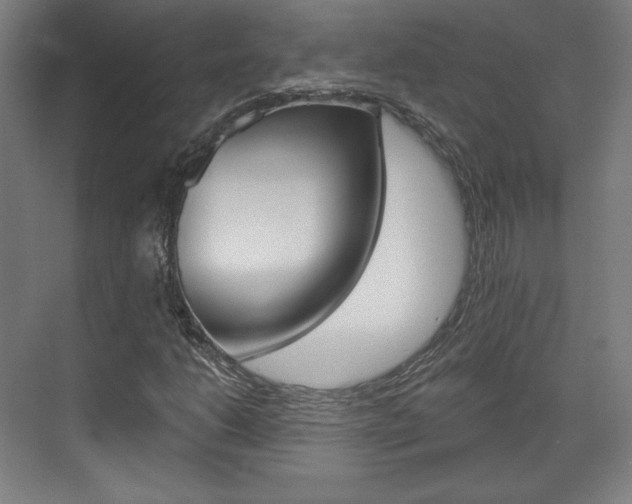 X0000071801206200606301001