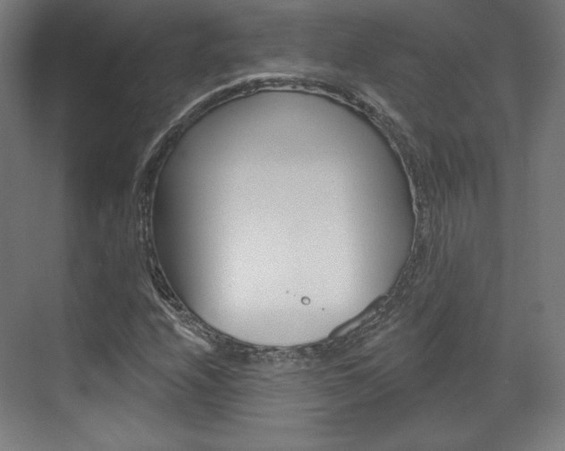 X0000071801208200606301001