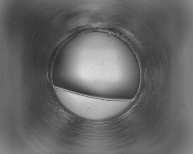 X0000071801209200606301001