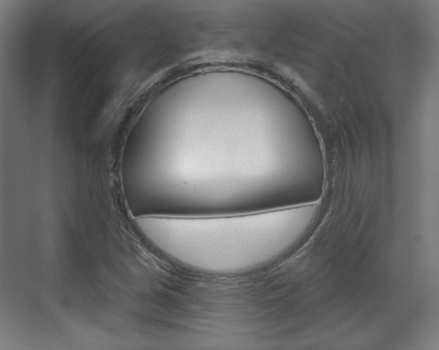 X0000071801213200606301001