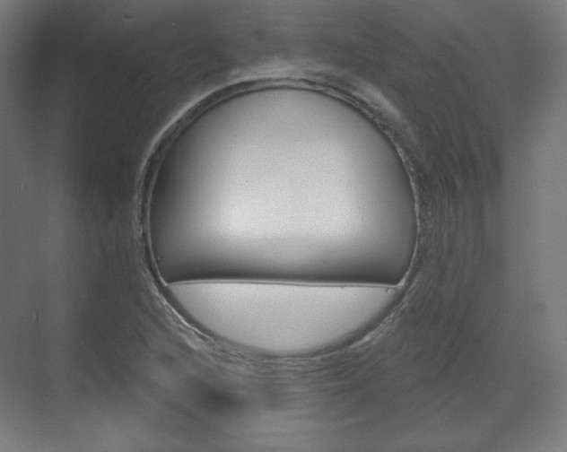 X0000071801216200606301001