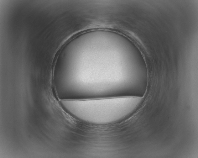 X0000071801220200606301001