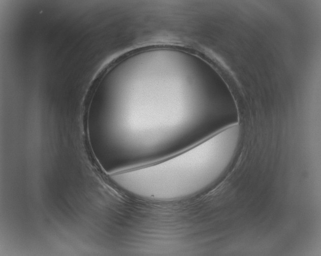 X0000071801222200606301001