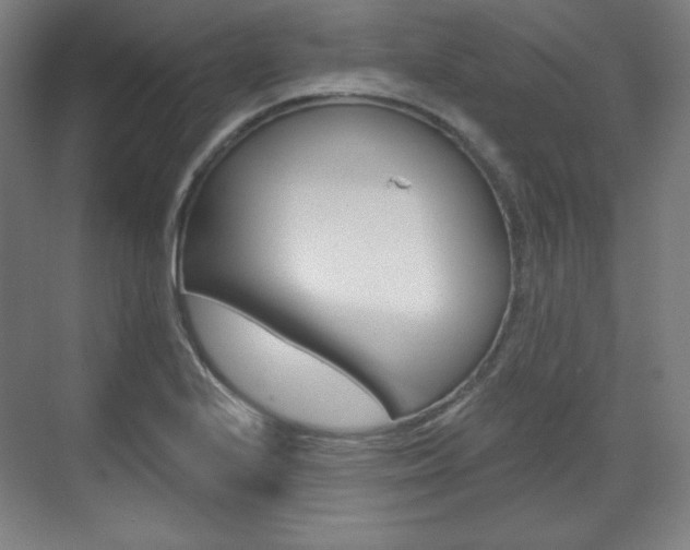 X0000071801224200606301001