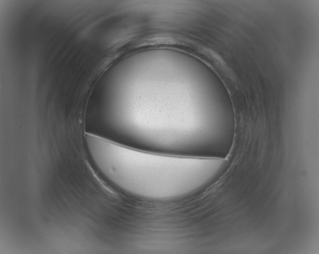 X0000071801225200606301001